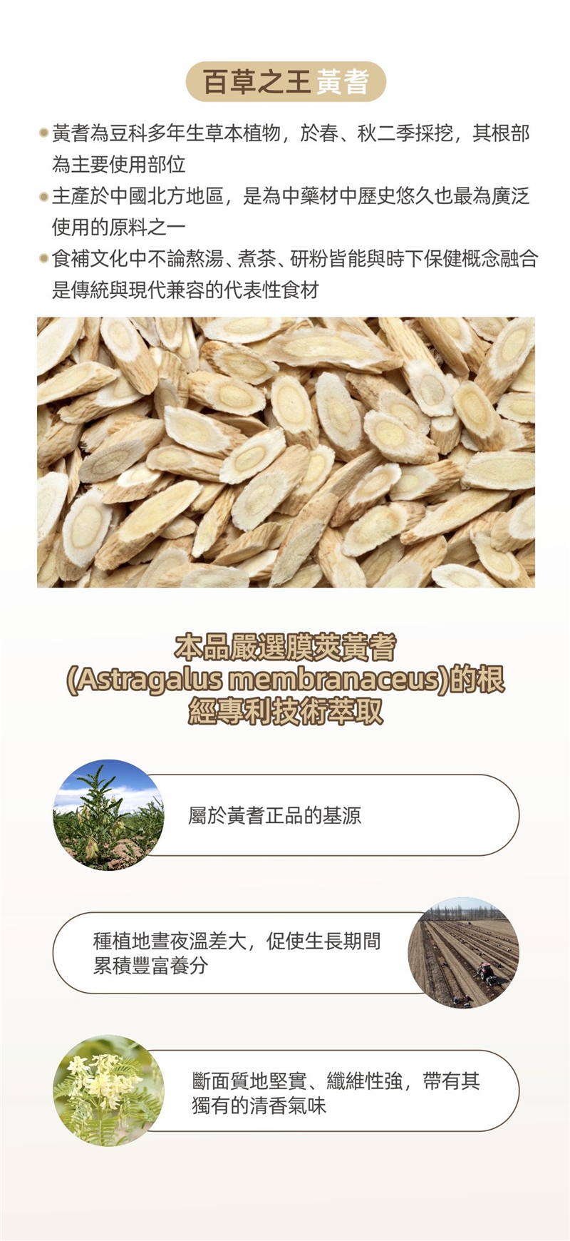 【草本養耆力】粉包