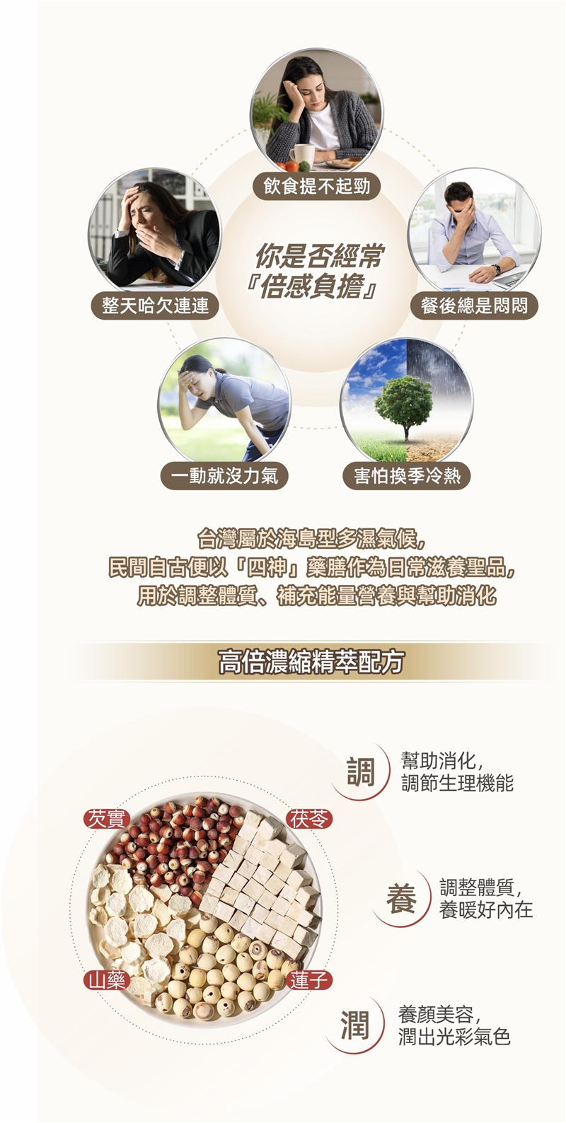 【四神原萃】膠囊